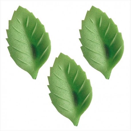 HOSTEA FOLHAS GRANDE VERDE CLARO C/1000 DEK 1 HOSTEA FOLHAS GRANDE VERDE CLARO C/1000 DEK